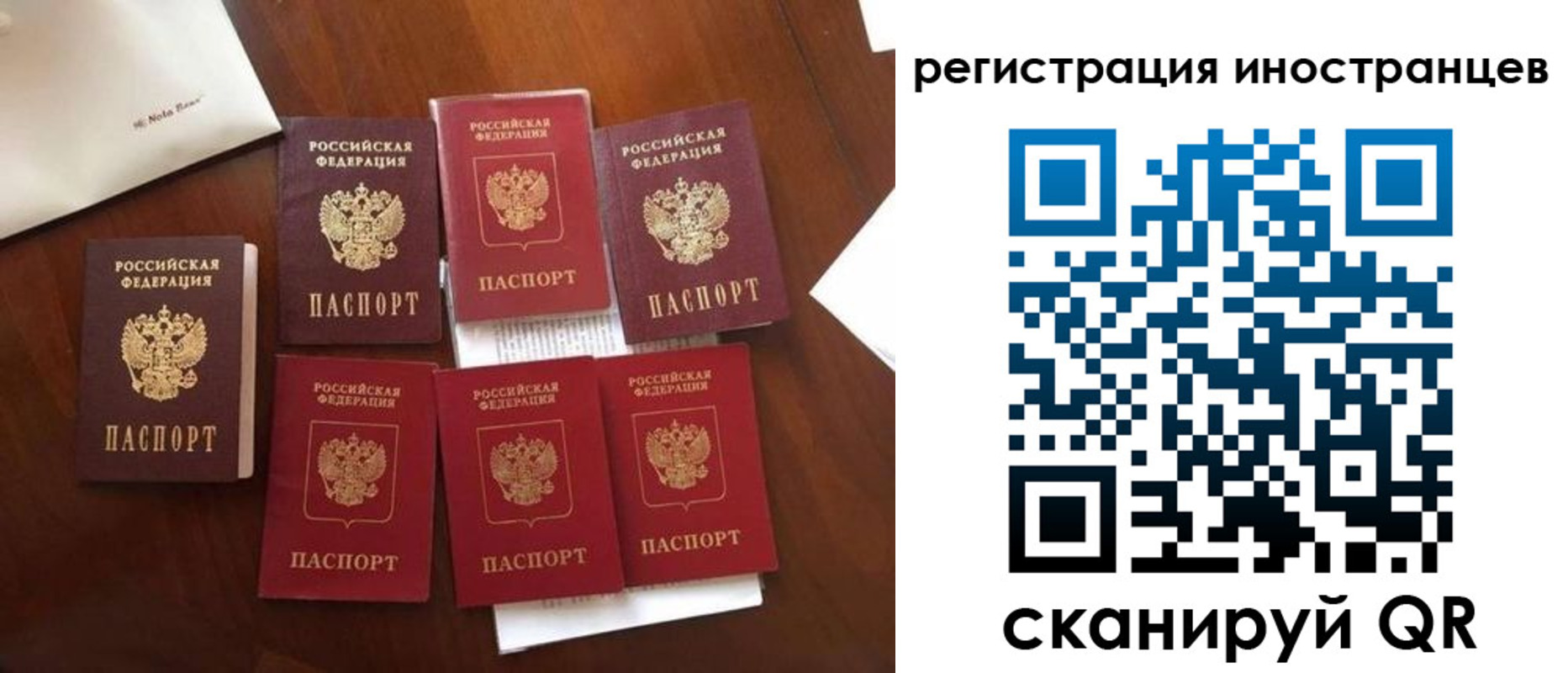 временная регистрация в Железногорске
